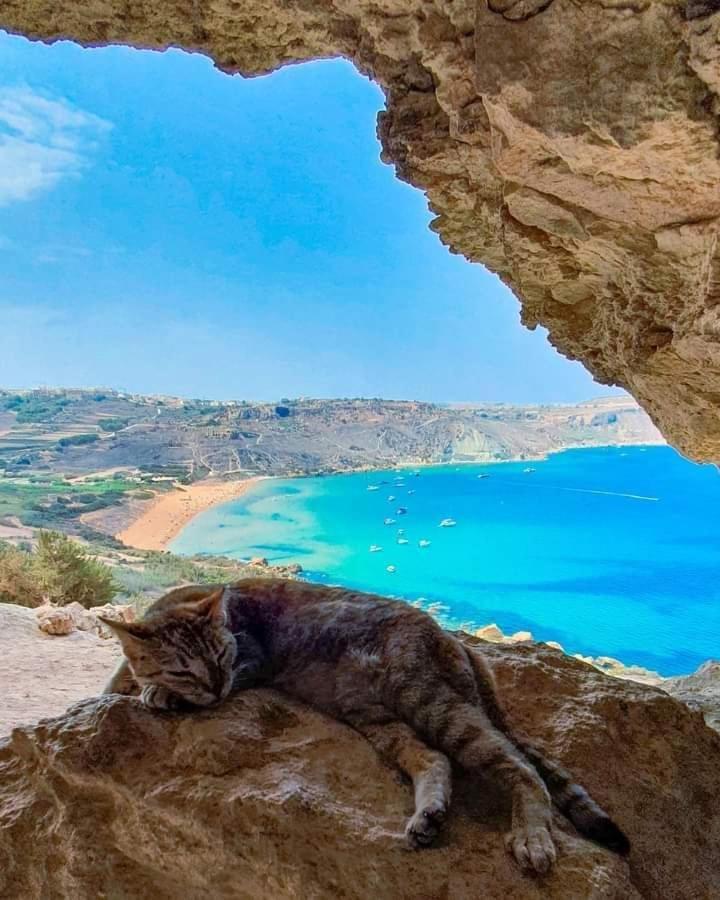 Farmhouse Tal Kaptan Kerċem Exteriör bild